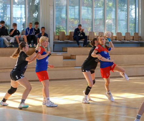 💙❤️Unsere WJB verliert das Heimspiel (24:28) gegen den @HSG Sangerhausen-Querfurt
Fotos von Marie 💙❤️