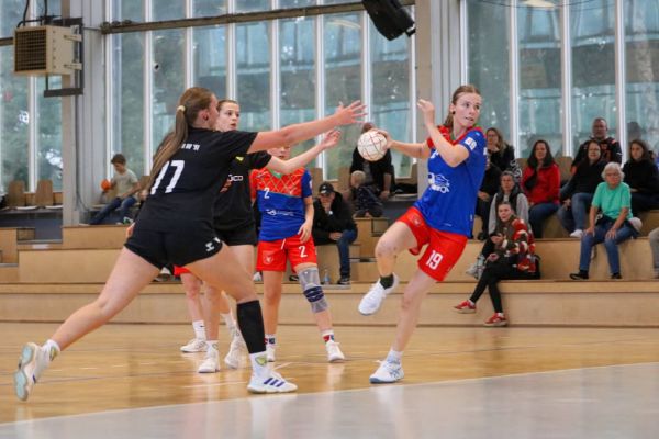 💙❤️Unsere WJB verliert das Heimspiel (17:36) gegen den Weißenfelser HV '91
Fotos von Marie 💙❤️