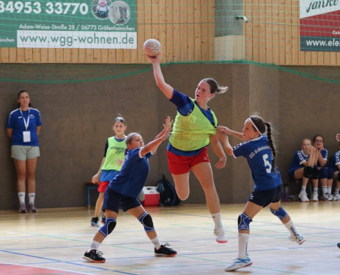 💙❤️ Auch unsere Mädels aus der WJD müssen sich heute im Auswärtsspiel gegen den BSG Aktivist Gräfenhainichen (28:16) geschlagen geben.
Kopf hoch Mädels, das Rückspiel kommt 💪🏻
Fotos von Marie 💙❤️