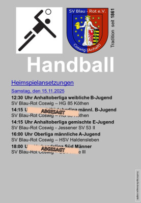 💙❤️Reduzierter Heimspieltag am Samstag- trotzdem gilt: ALLE in die Halle! 💙❤️